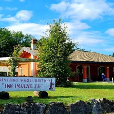 Alloggio E Agriturismo De Poanute Faedis Buitenkant foto